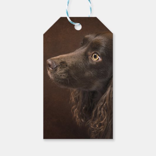 bruine hond cadeaulabel (Voorkant)