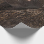 bruine hond cadeaupapier (Hoek)