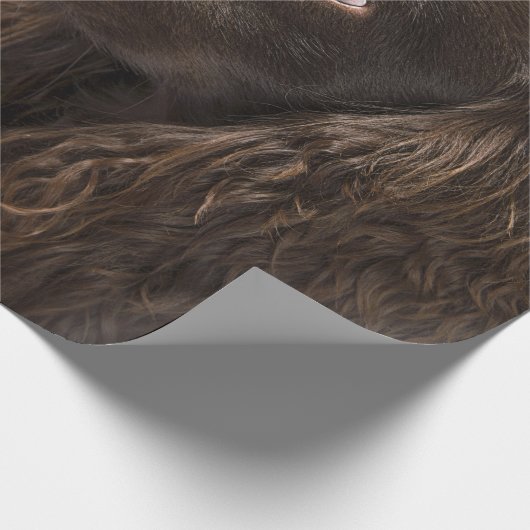 bruine hond cadeaupapier (Hoek)