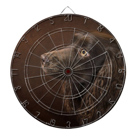 bruine hond dartbord (Voorkant)