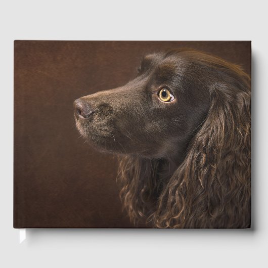 bruine hond gastenboek (Voorkant)