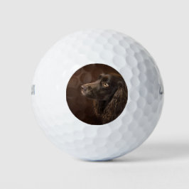 bruine hond golfballen