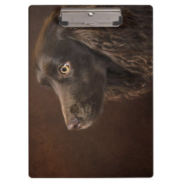 bruine hond klembord