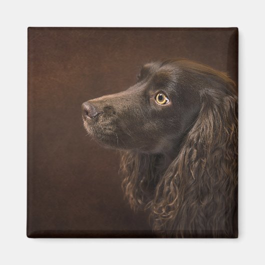 bruine hond magneet (Voorkant)