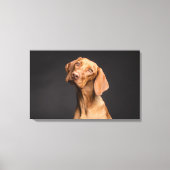 Bruine Hond met Lange Hals Canvas Afdruk (Voorkant)