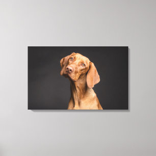 Bruine Hond met Lange Hals Canvas Afdruk