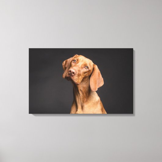Bruine Hond met Lange Hals Canvas Afdruk (Voorkant)