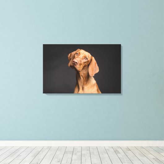 Bruine Hond met Lange Hals Canvas Afdruk (Insitu (Houten vloer))