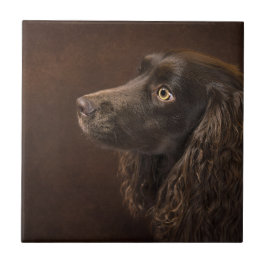 bruine hond tegeltje