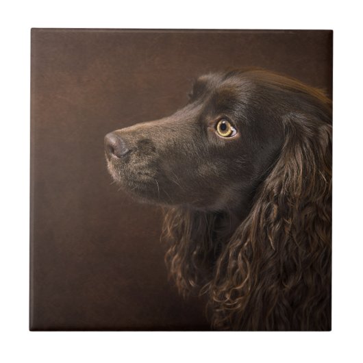 bruine hond tegeltje (Voorkant)