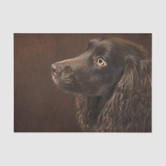 bruine hond tissuepapier (Voorkant)