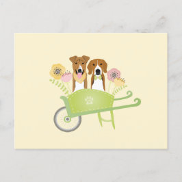 Bruine honden in wielbarroenbloemen briefkaart
