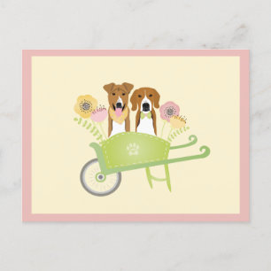 Bruine honden in wielbarroenbloemen briefkaart
