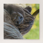 Bruine Hoogland Koe Legpuzzel (Horizontaal)