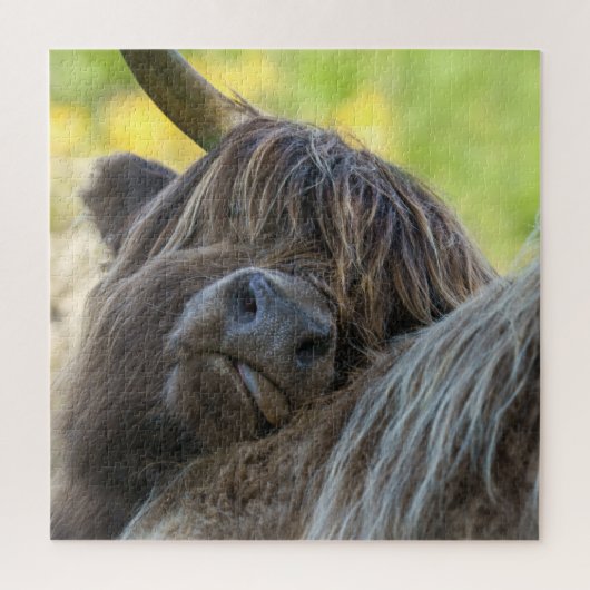 Bruine Hoogland Koe Legpuzzel (Verticaal)