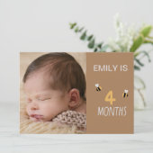 Bruine kaart 2 maanden oude schattige bijen met fo (Staand voorkant)