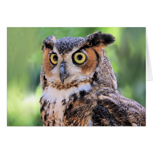 Bruine Kaart met grote hoornvliezen (Voorkant Horizontaal)