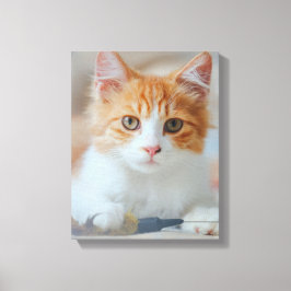 Bruine kat canvas afdruk