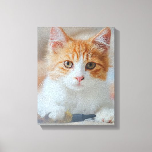 Bruine kat canvas afdruk (Voorkant)