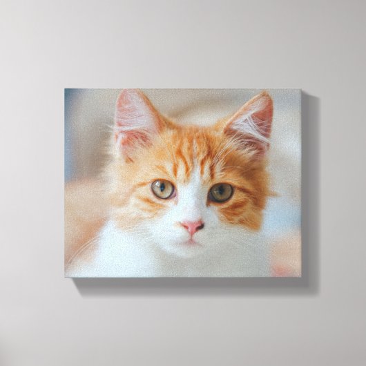 Bruine kat | Zazzle_Growshop. Canvas Afdruk (Voorkant)