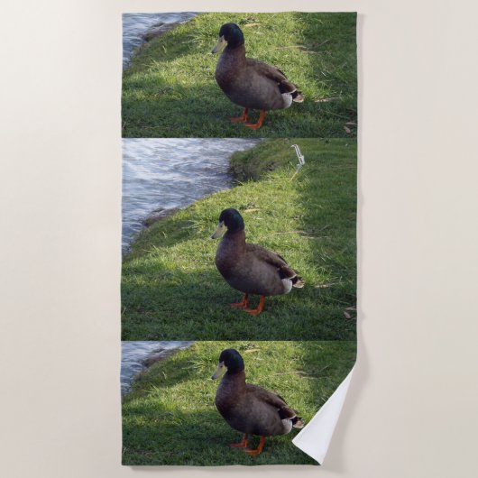 Bruine kleurrijke eend, strandlaken (Voorkant)