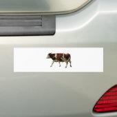 Bruine koe bumpersticker (Op auto)