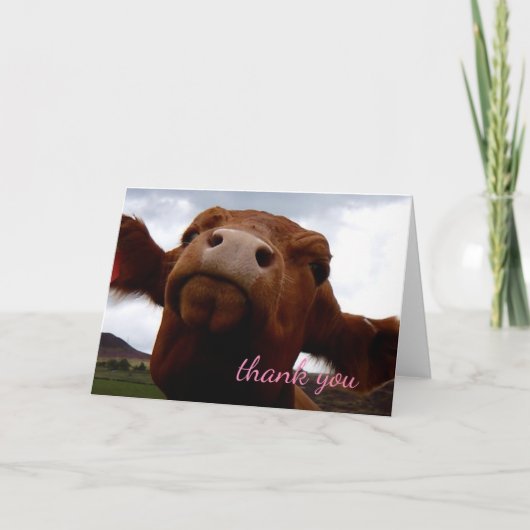 Bruine koe Dank u Bedankkaart (Voorkant)