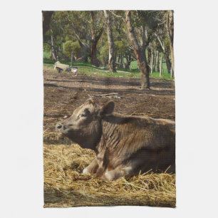 bruine Koe die op het Boerderij ligt, Theedoek