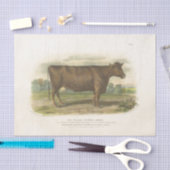 Bruine Koe Ephemera Decoupage  Boerderij Tissuepapier (Craft)