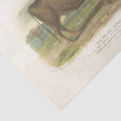 Bruine Koe Ephemera Decoupage  Boerderij Tissuepapier (Detail)