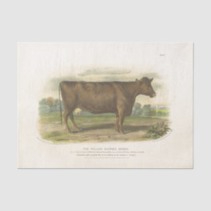 Bruine Koe Ephemera Decoupage Boerderij Tissuepapier