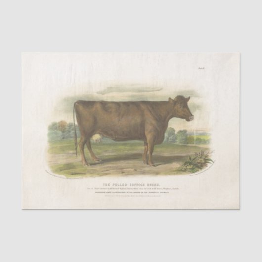 Bruine Koe Ephemera Decoupage  Boerderij Tissuepapier (Voorkant)