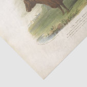 Bruine Koe Ephemera Decoupage  Boerderij Weefsel P Tissuepapier (Detail)