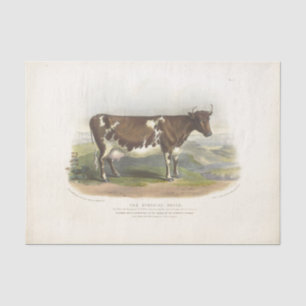 Bruine Koe Ephemera Ontworpen Boerderij Tissuepapier
