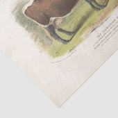 Bruine Koe Grazing Ephemera Decoupage Boerderij Tissuepapier (Detail)