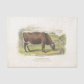 Bruine Koe Grazing Ephemera Decoupage  Boerderij Tissuepapier (Voorkant)