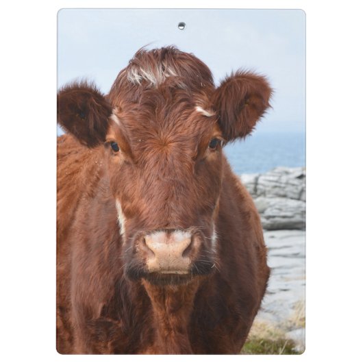 Bruine koe klembord (Achterkant)
