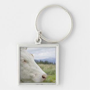 Bruine koe met een teken erin? sleutelhanger