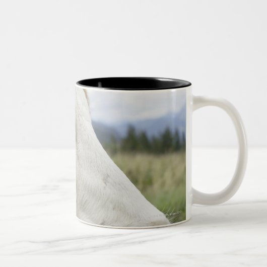 Bruine koe met een teken erin? tweekleurige koffiemok (Rechts)