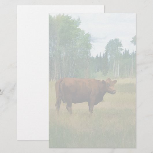 Bruine Koe op een schaal met paarden en runderen Briefpapier (Voorkant / Achterkant)