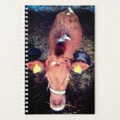 Bruine koe planner (Voorkant)