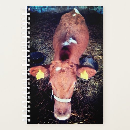 Bruine koe planner (Voorkant)