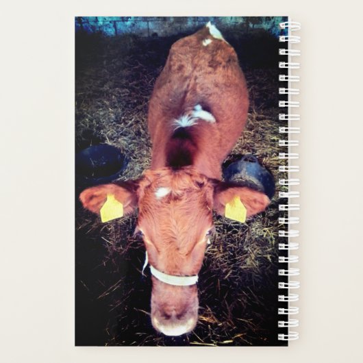 Bruine koe planner (Achterkant)