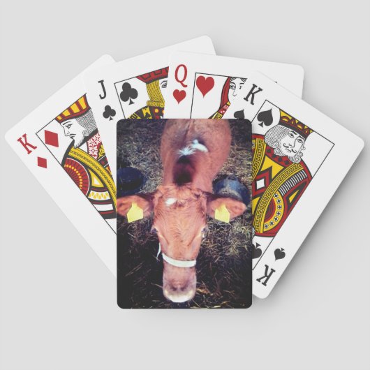 Bruine koe pokerkaarten (Achterkant)