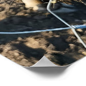 Bruine Koe Super Close-up Poster (Hoek)