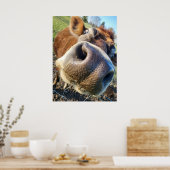 Bruine Koe Super Close-up Poster (Keuken)