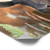 Bruine Koe twijgen tong uit grappig, grappig Poster (Hoek)