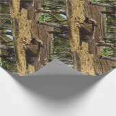 Bruine Koe vanmiddag Siesta Cadeaupapier (Hoek)