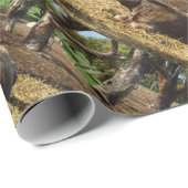 Bruine Koe vanmiddag Siesta Cadeaupapier (Rol Hoek)