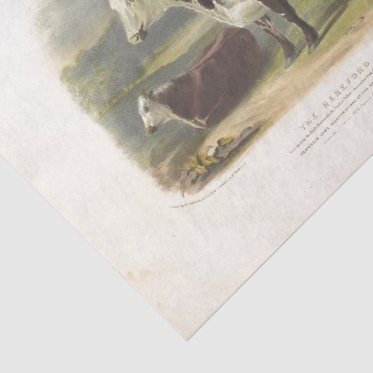 Bruine Koeien Ephemera Decoupage Boerderij Tissuepapier (Detail)